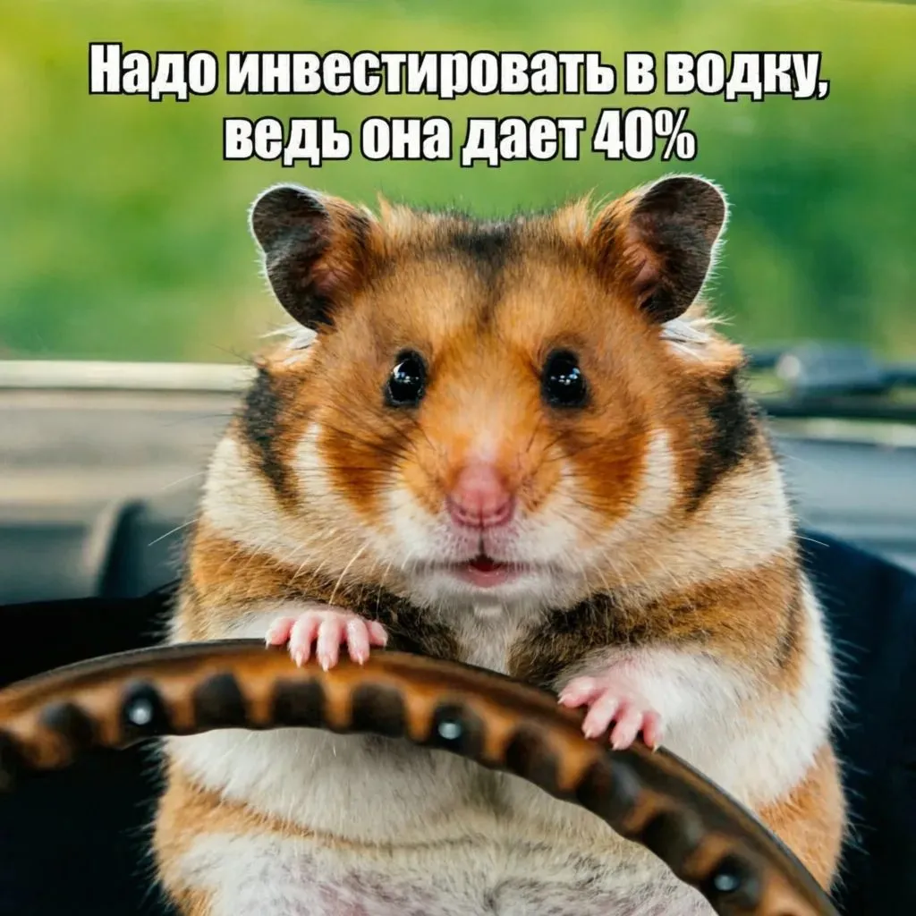 IMG20261013202211_655.jpg