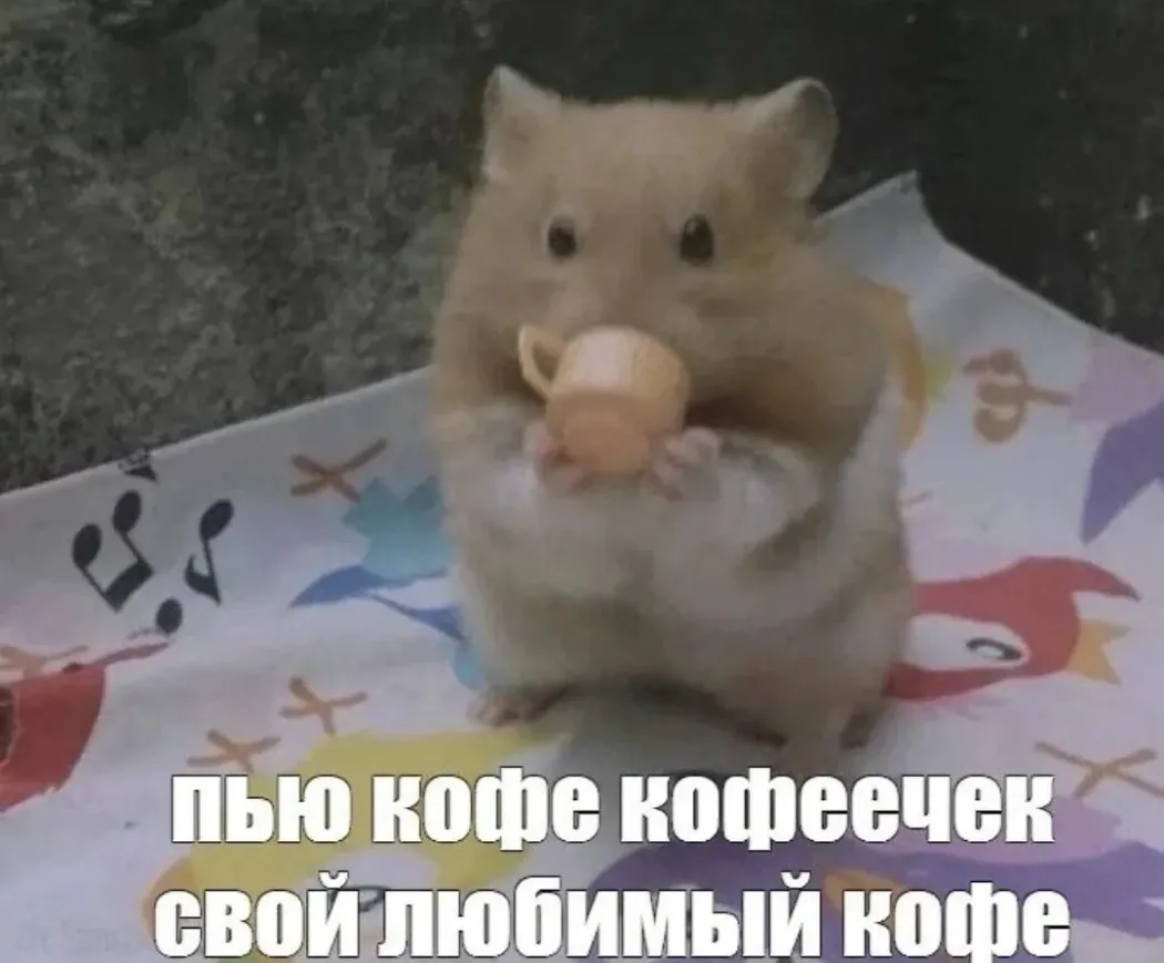 IMG20261026095139_344.jpg