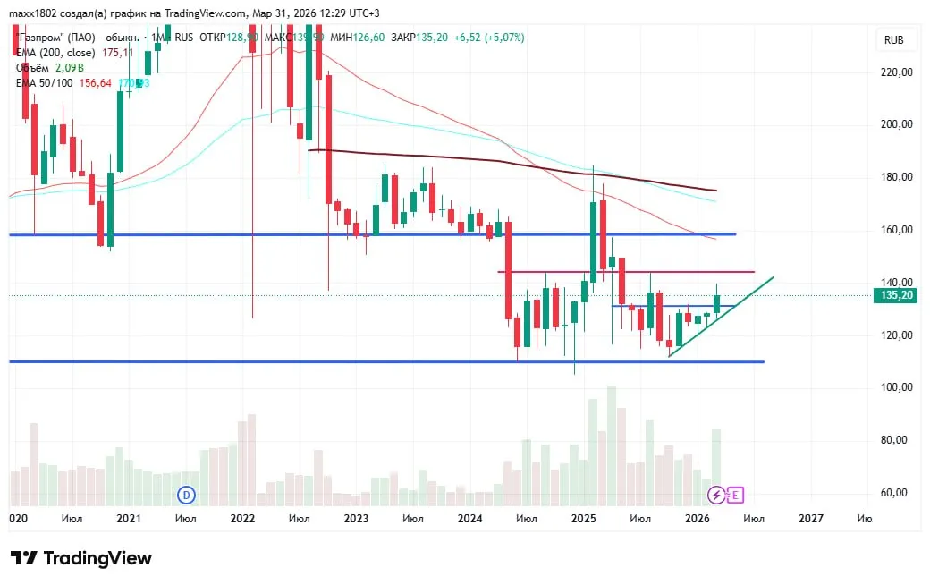 photo2026-03-3112-45-38 (2).jpg