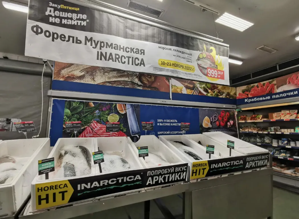 photo2026-04-1611-29-28 (3).jpg