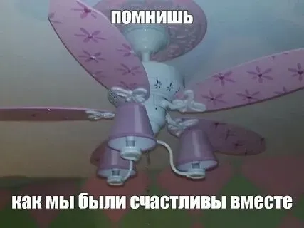 IMG20260507202452_955.jpg