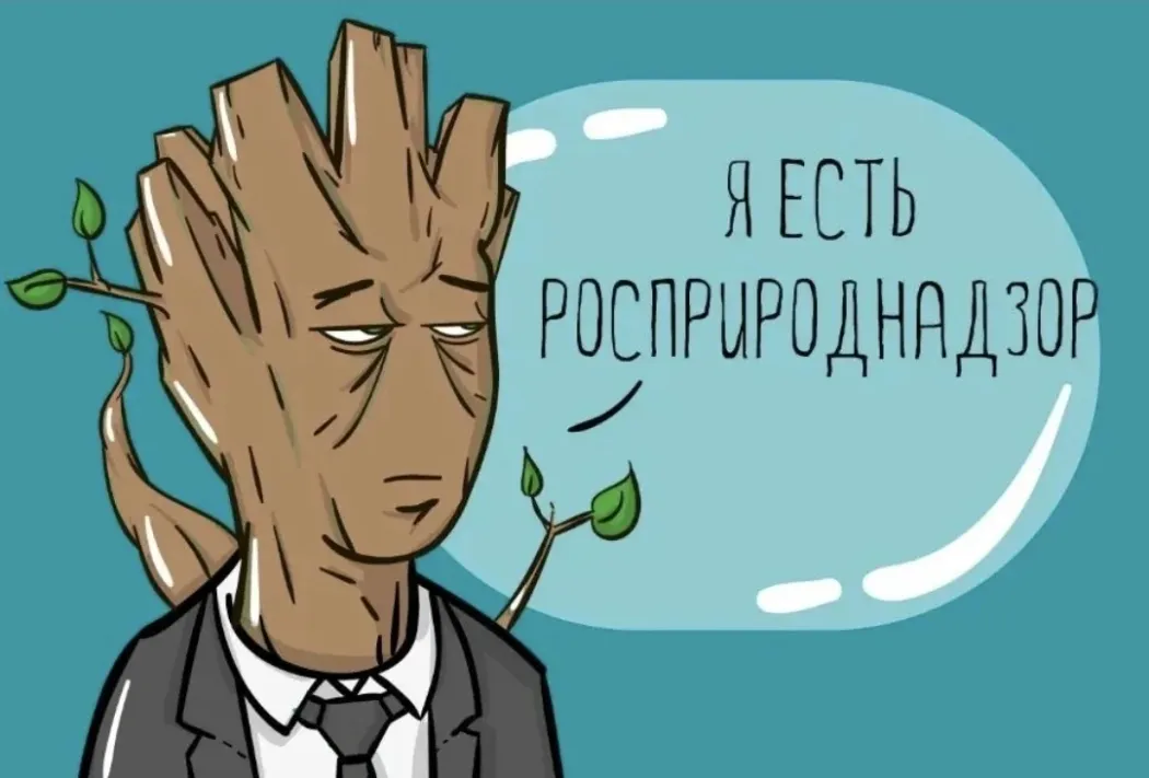 IMG20260619194838_765.jpg