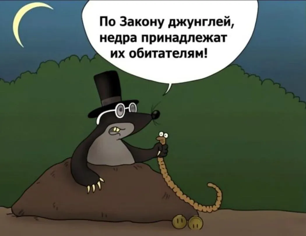 IMG20260928192623_640.jpg